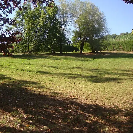 Codalunga